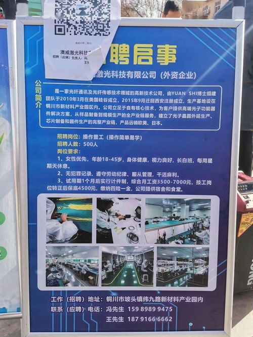 抓住机会, 职 等你来