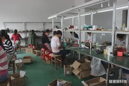 借60万加上自己的30万开工厂,两年就赔光了